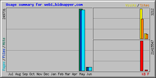 Usage summary for web1.bidnapper.com